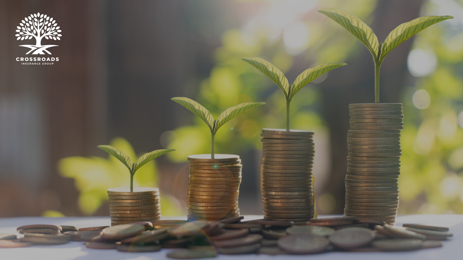 Growing Your Business? You May Have More Options Than You Think